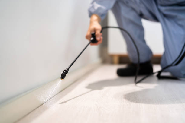 Licensed Termite Control service in North Westport, MA - Nex Pest Control