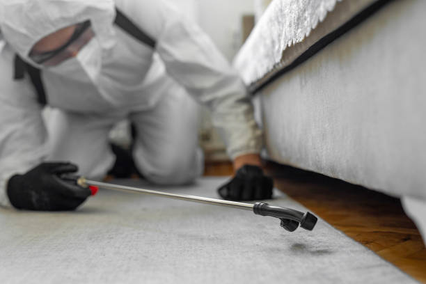 Professional Termite Control technician working in North Westport, MA