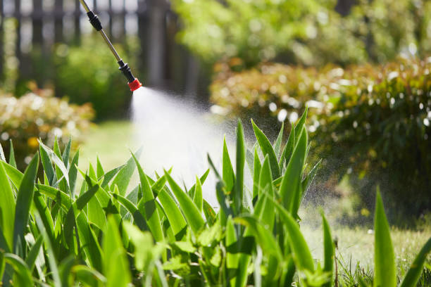 24/7 Emergency Termite Control experts in North Westport, MA
