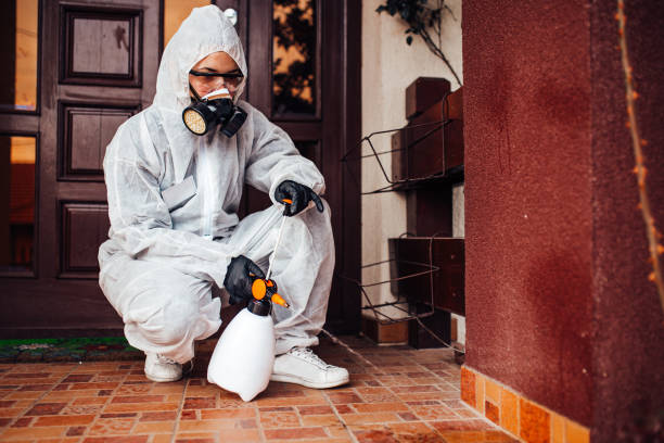 Reliable Termite Control contractor in North Westport, MA by Nex Pest Control